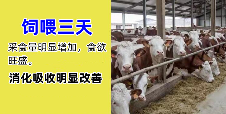 牛羊去油催肥添加劑 去油猛長改善體型廠家包郵