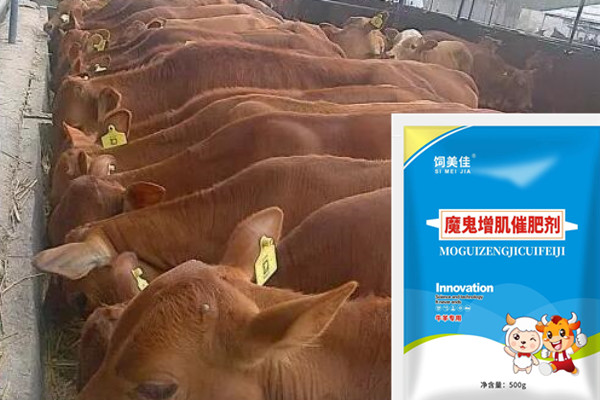 牛羊用什么催肥劑好使？飼美佳牛羊催肥劑量大從優(yōu)
