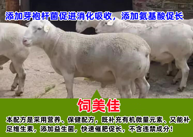 牛催肥飼料添加劑有哪些？魔鬼牛催肥劑值得一試！