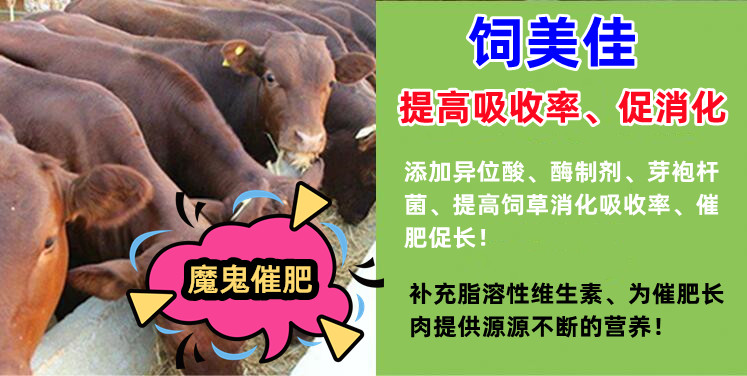 牛催肥飼料添加劑有哪些？魔鬼牛催肥劑值得一試！