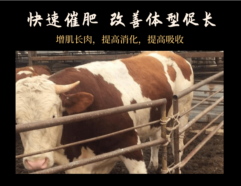 牛羊催肥劑