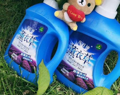 加酶洗衣液中添加的是什么酶？