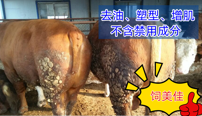 牛羊出欄前用什么催肥劑效果好？