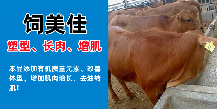 購(gòu)買牛用催肥飼料添加劑需要注意什么？