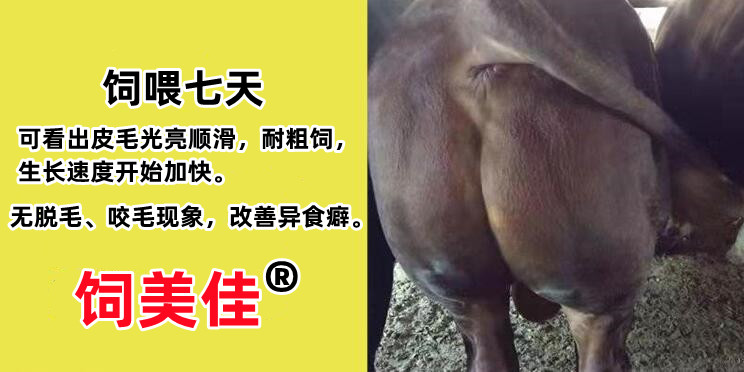 購(gòu)買牛用催肥飼料添加劑需要注意什么？