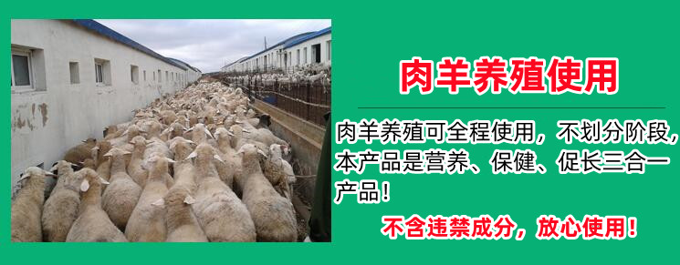 牛催肥用什么添加劑效果好 肉牛催肥劑哪個(gè)好？