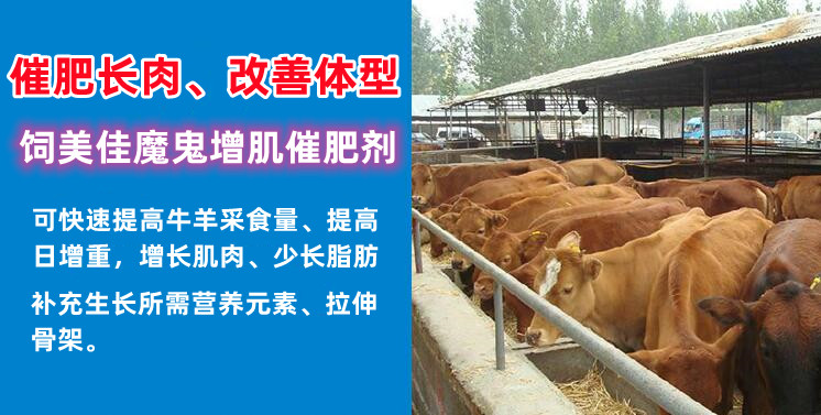 催肥飼料添加劑那種好 牛羊催肥用哪個(gè)添加劑好？