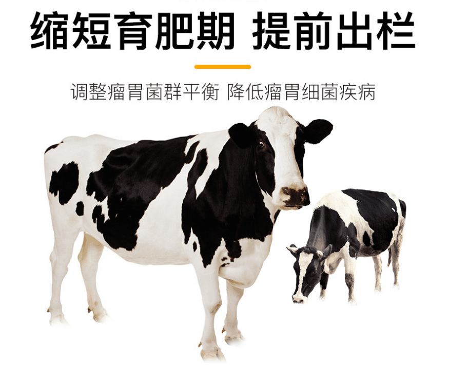 牛催肥飼料添加劑有哪些？肉牛增重催肥劑
