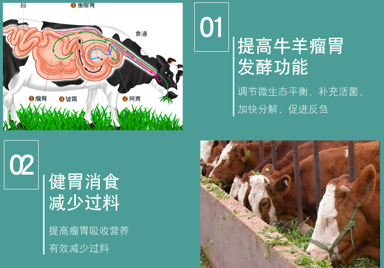 牛催肥飼料添加劑有哪些？肉牛增重催肥劑