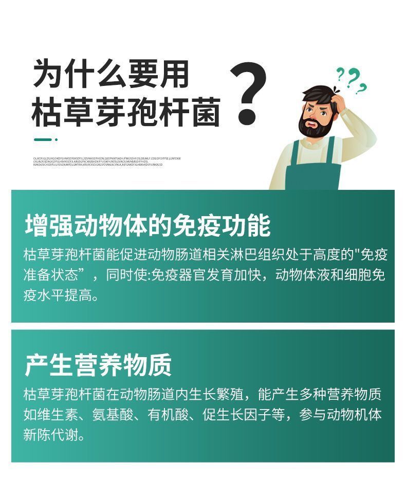 牛喂為什么長(zhǎng)得快 肉牛催肥劑 牛催肥飼料添加劑
