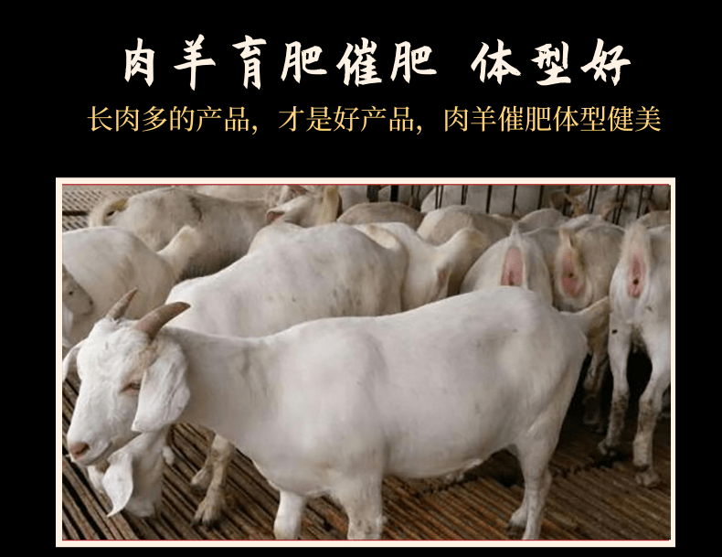 牛催肥的添加劑那種比較好用？