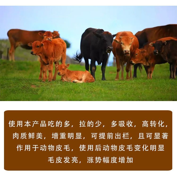 牛快速催肥劑廠家全國(guó)包郵