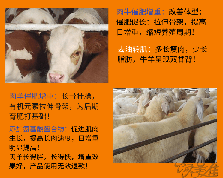 牛增重哪家產(chǎn)品可靠？