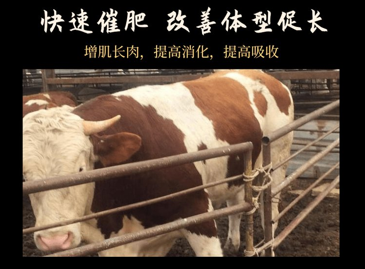 牛料添加劑什么牌子好？