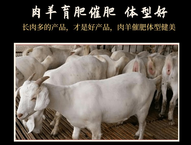 牛料添加劑什么牌子好？