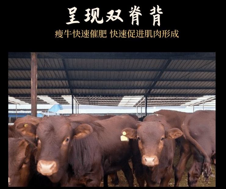 牛料添加劑什么牌子好？