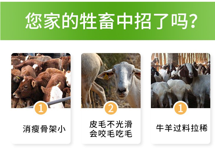 羊用催肥激素藥有哪些？