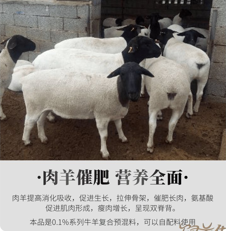 飼料添加劑催肥用什么好？