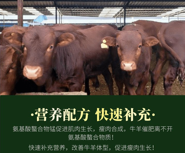 飼料添加劑催肥用什么好？