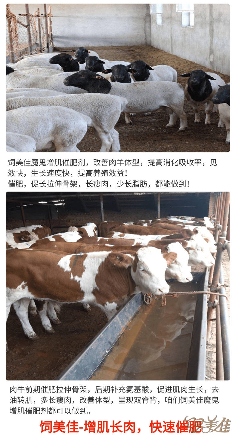 羊用催肥促長(zhǎng)添加劑那個(gè)牌子好？