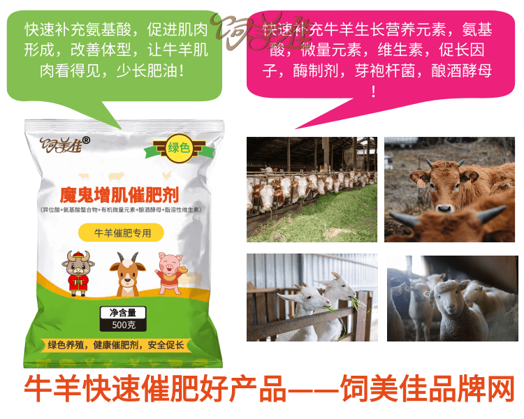 肉牛添加劑哪家好？