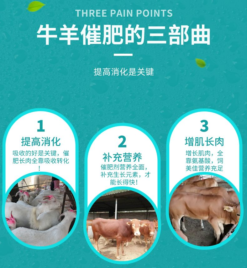牛羊催肥劑哪種快速見(jiàn)效