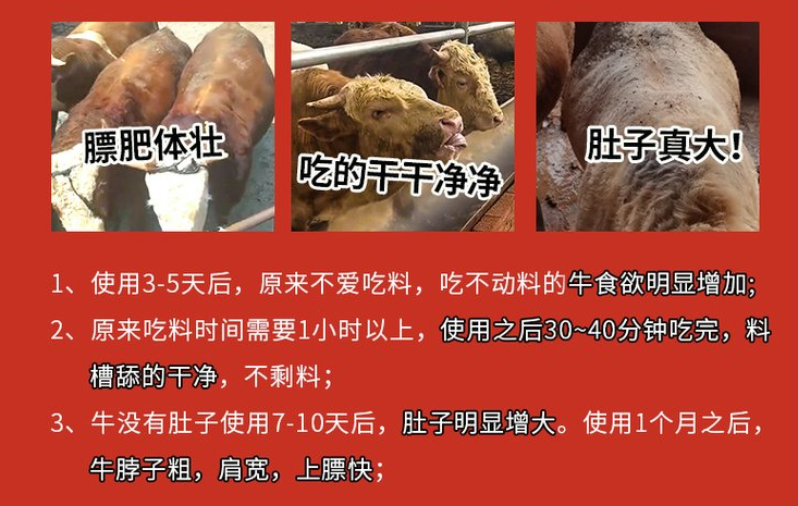 肉牛催肥飼料添加劑有哪些