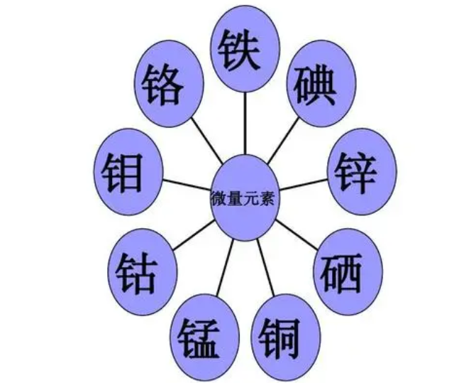 牛喂微量元素是補(bǔ)啥營(yíng)養(yǎng)的