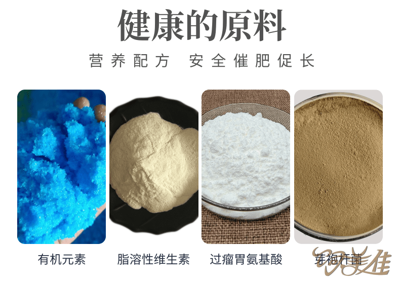 育肥羊催肥劑用那種好？