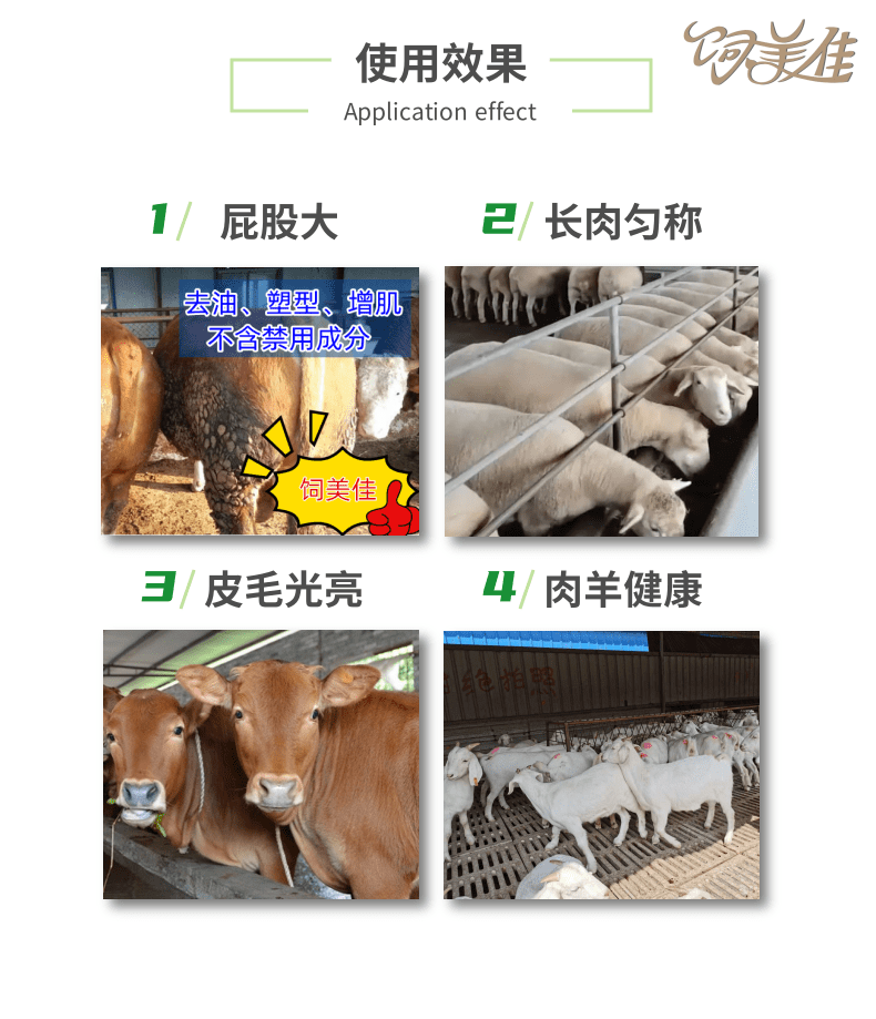 羊用什么催肥劑好一點(diǎn)？