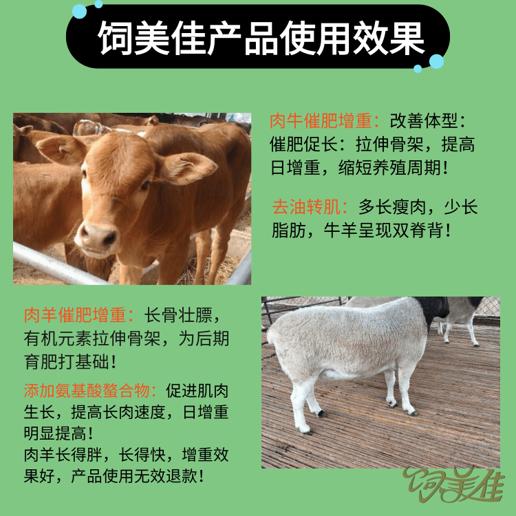 羊用什么催肥劑見效快
