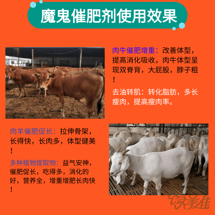 給?；陀檬裁此? width=