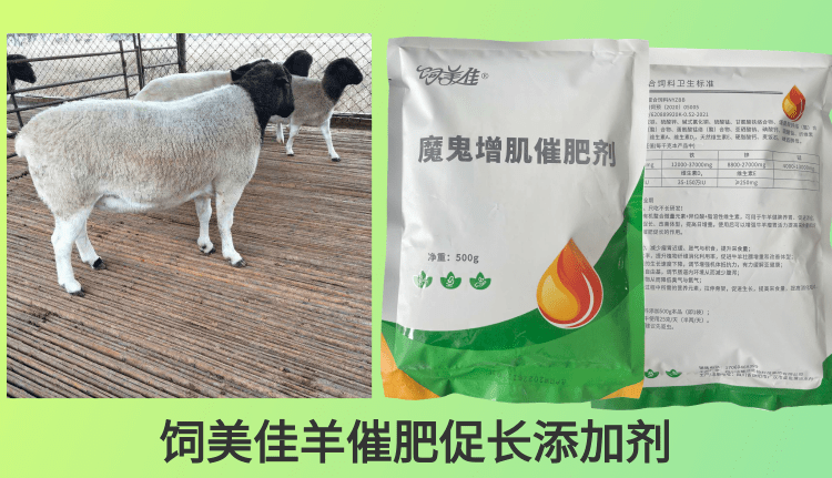 羊促生長(zhǎng)添加劑添加量是多少