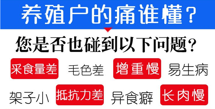 羊催肥用什么添加劑的好一點(diǎn)