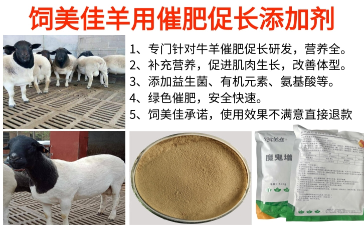 羊用催肥促長(zhǎng)添加劑有哪些藥