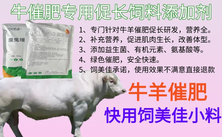 肉牛后期催肥添加劑用量