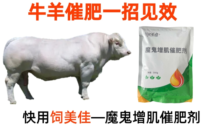 肉牛催肥劑什么牌子好？牛羊催肥用什么藥？